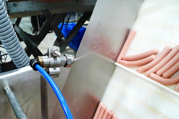 Spraying system for belts